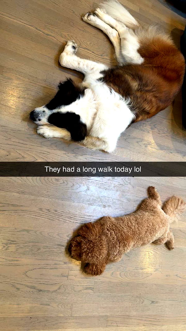 cclaire.bbear1 snapchat image archive image