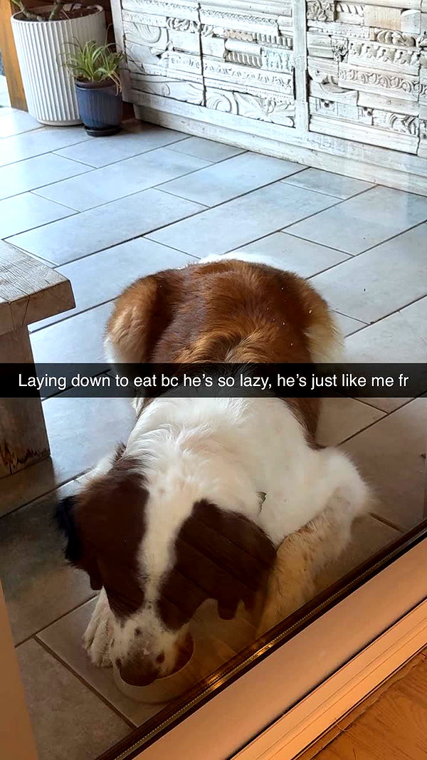 cclaire.bbear1 snapchat image archive image
