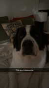 cclaire.bbear1 Altpins Profile Picture