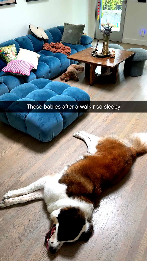 cclaire.bbear1 snapchat image archive image