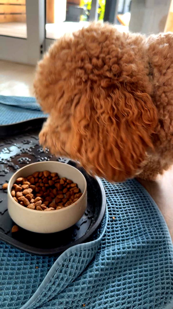 cclaire.bbear1 snapchat image archive image