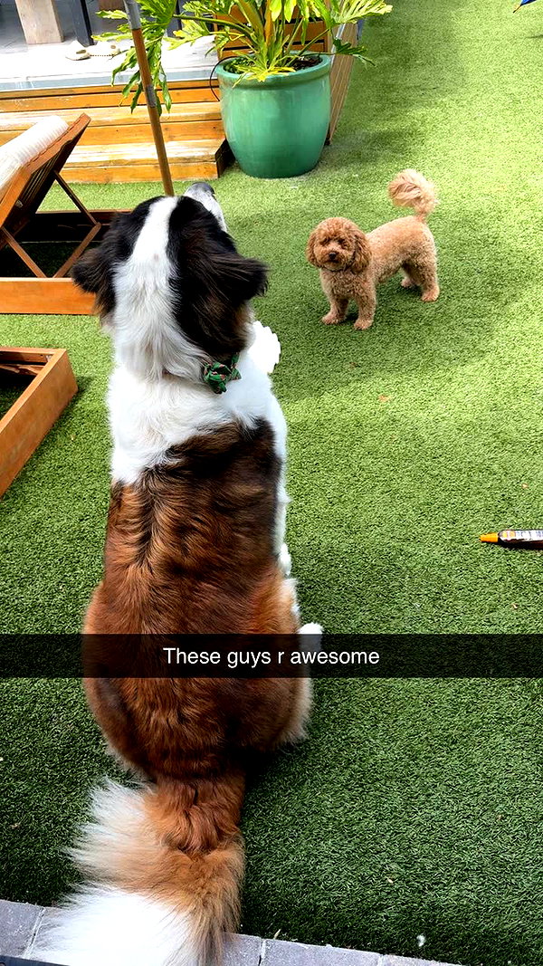 cclaire.bbear1 snapchat image archive image