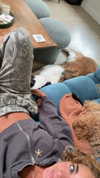 cclaire.bbear1 Altpins Profile Picture