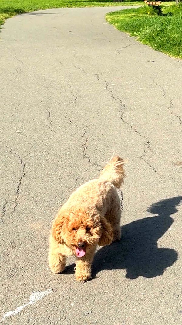cclaire.bbear1 snapchat image archive image