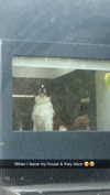 cclaire.bbear1 Altpins Profile Picture