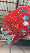 cclaire.bbear1 Altpins Profile Picture
