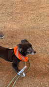 cclaire.bbear1 Altpins Profile Picture