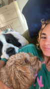 cclaire.bbear1 Altpins Profile Picture
