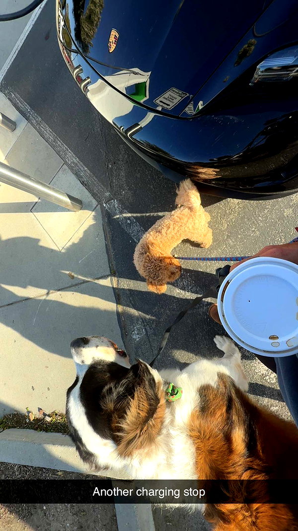 cclaire.bbear1 snapchat image archive image