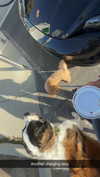 cclaire.bbear1 Altpins Profile Picture