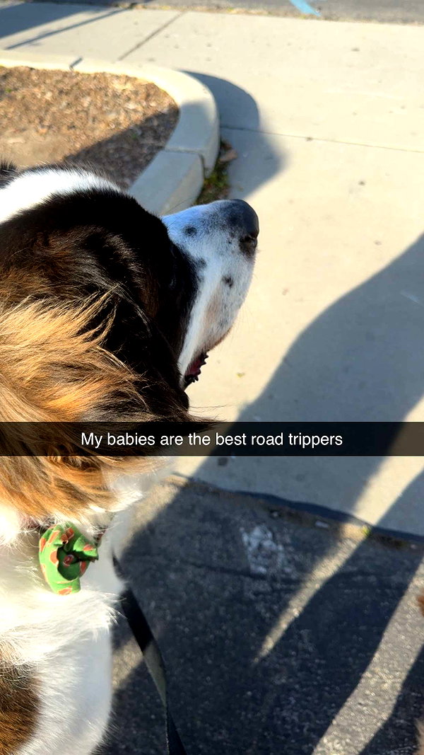 cclaire.bbear1 snapchat image archive image
