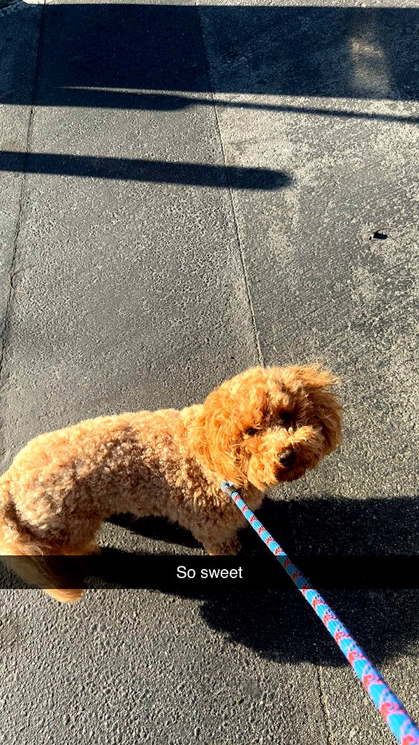 cclaire.bbear1 snapchat image archive image