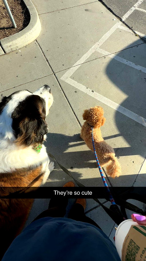 cclaire.bbear1 snapchat image archive image