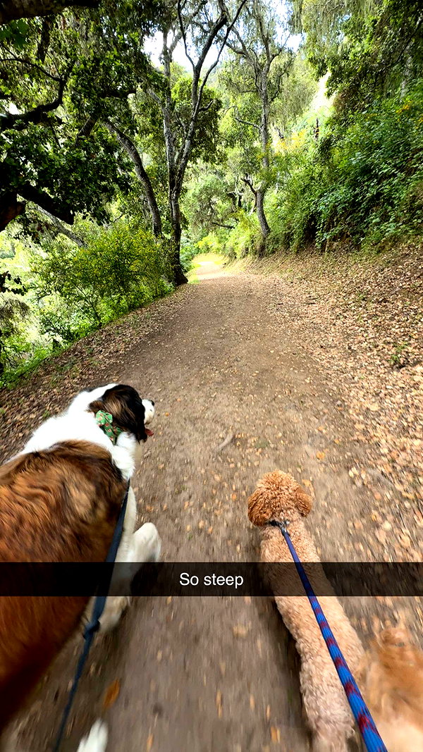 cclaire.bbear1 snapchat image archive image