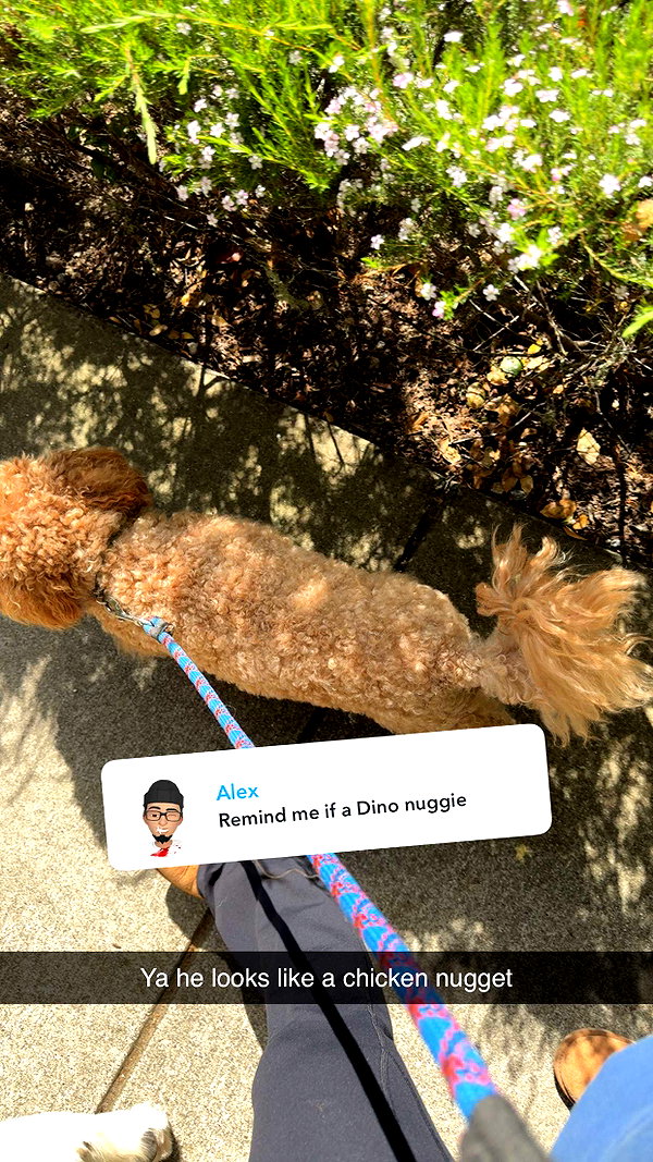 cclaire.bbear1 snapchat image archive image