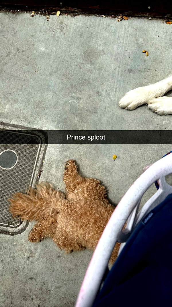cclaire.bbear1 snapchat image archive image