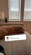 cclaire.bbear1 Altpins Profile Picture