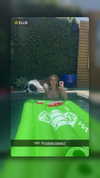 cclaire.bbear1 Altpins Profile Picture