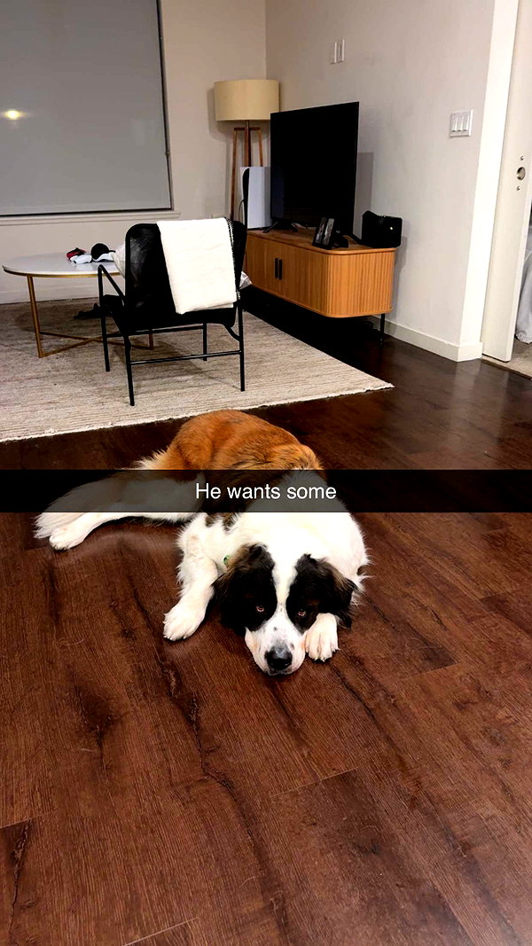 cclaire.bbear1 snapchat image archive image