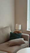 cclaire.bbear1 Altpins Profile Picture
