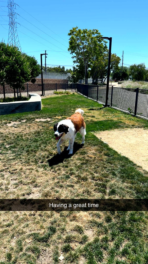 cclaire.bbear1 snapchat image archive image