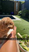 cclaire.bbear1 Altpins Profile Picture