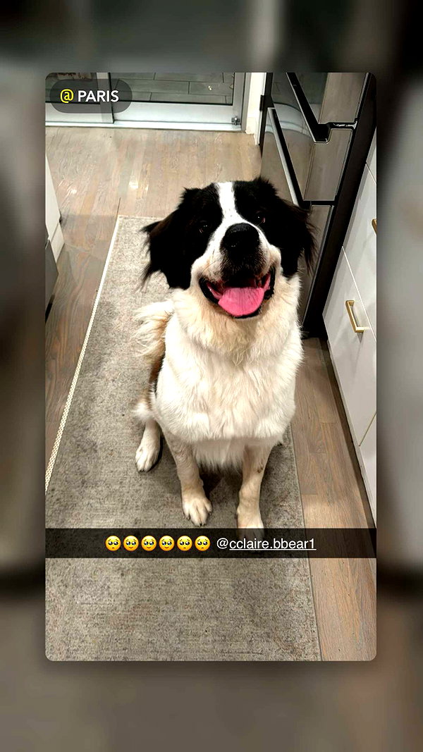 cclaire.bbear1 snapchat image archive image