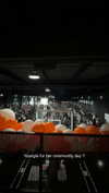 cclaire.bbear1 Altpins Profile Picture