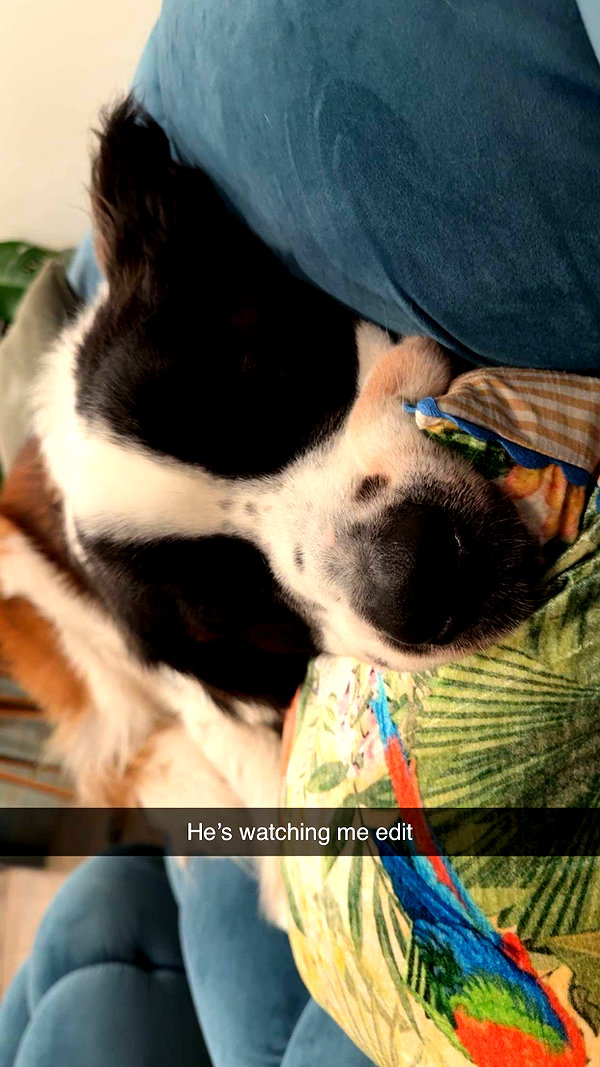 cclaire.bbear1 snapchat image archive image