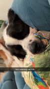 cclaire.bbear1 Altpins Profile Picture