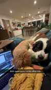 cclaire.bbear1 Altpins Profile Picture