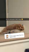 cclaire.bbear1 Altpins Profile Picture