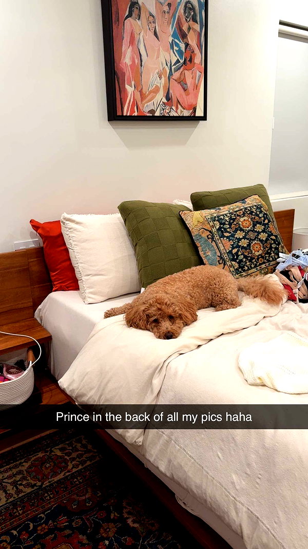 cclaire.bbear1 snapchat image archive image