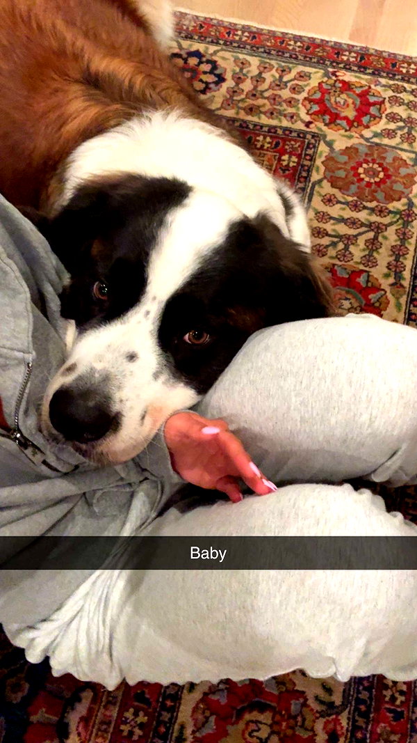 cclaire.bbear1 snapchat image archive image