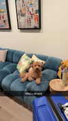 cclaire.bbear1 Altpins Profile Picture