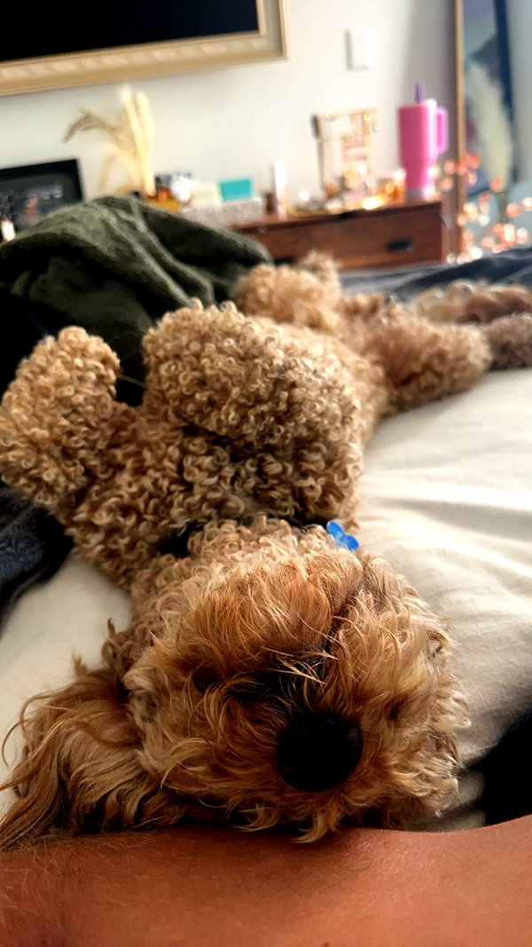 cclaire.bbear1 snapchat image archive image