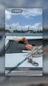 cclaire.bbear1 Altpins Profile Picture
