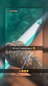 cclaire.bbear1 Altpins Profile Picture