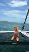 cclaire.bbear1 Altpins Profile Picture