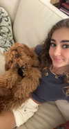 cclaire.bbear1 Altpins Profile Picture