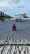 cclaire.bbear1 Altpins Profile Picture