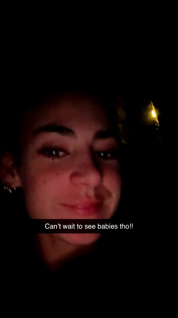 cclaire.bbear1 snapchat image archive image