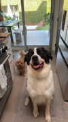 cclaire.bbear1 Altpins Profile Picture