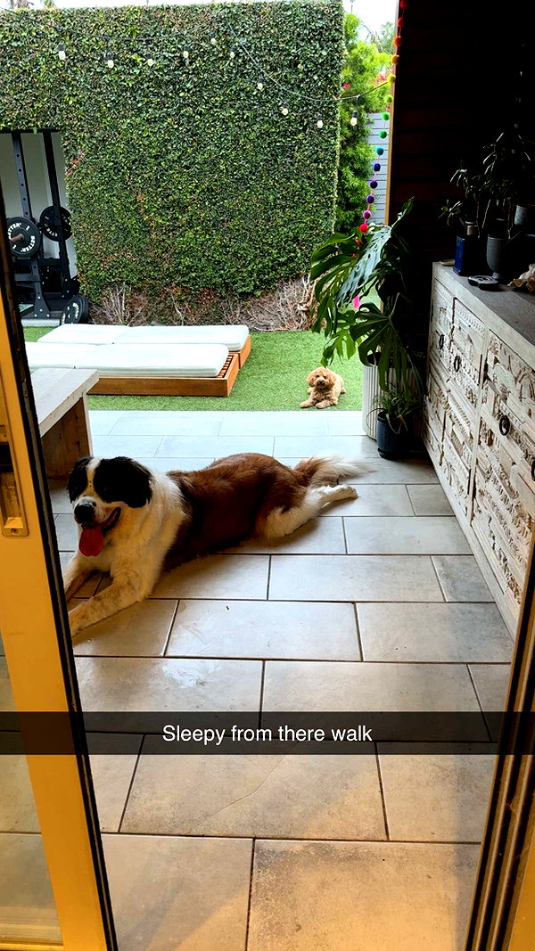 cclaire.bbear1 snapchat image archive image