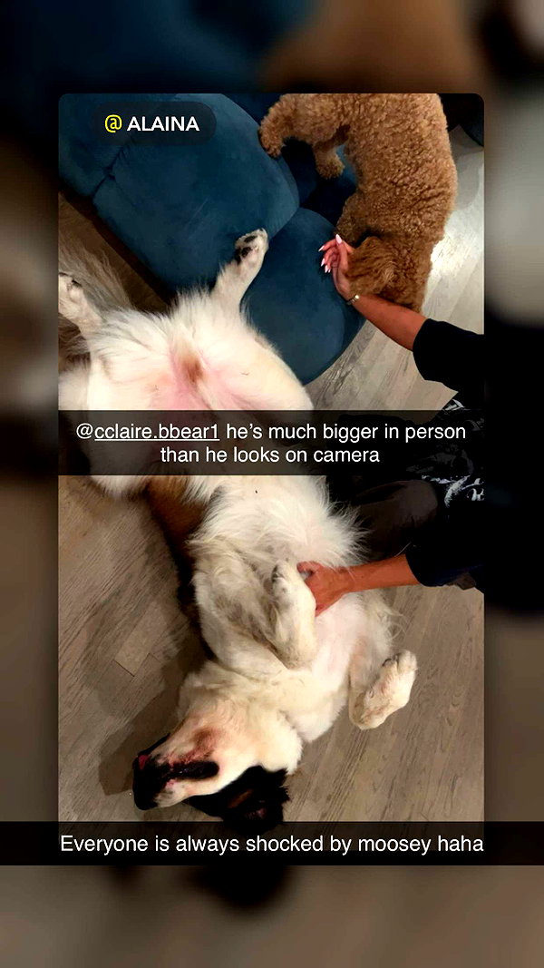 cclaire.bbear1 snapchat image archive image