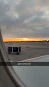 cclaire.bbear1 Altpins Profile Picture