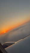 cclaire.bbear1 Altpins Profile Picture