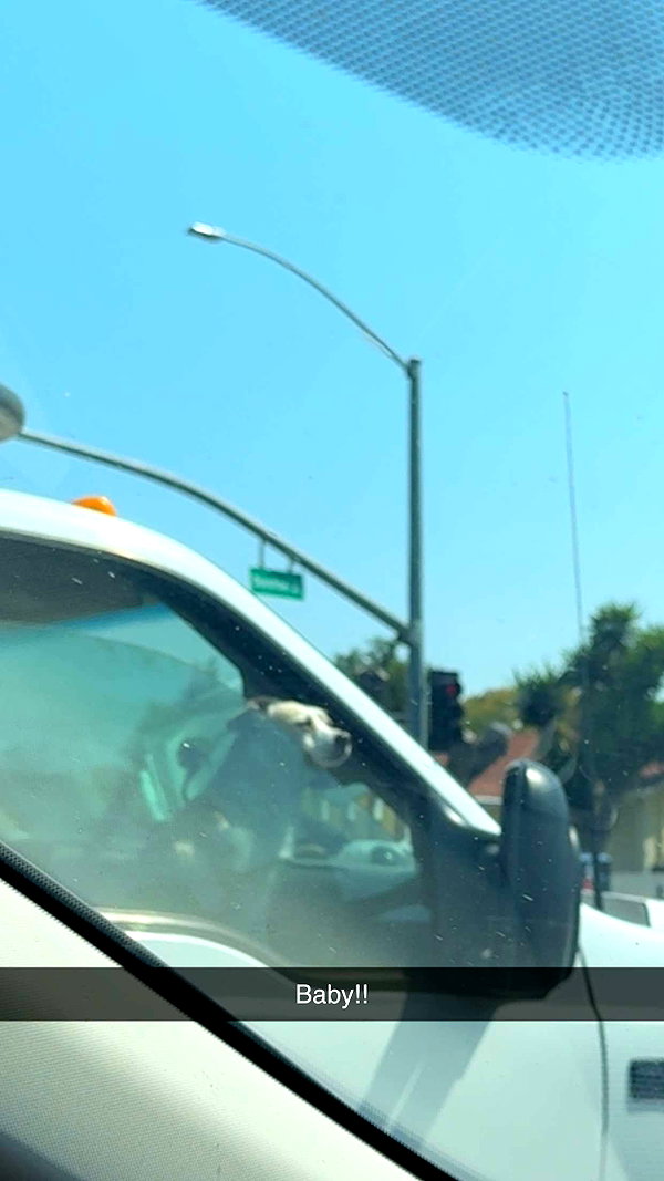 cclaire.bbear1 snapchat image archive image