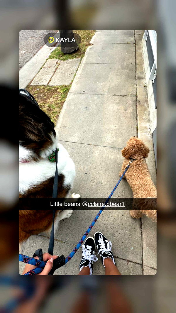 cclaire.bbear1 snapchat image archive image
