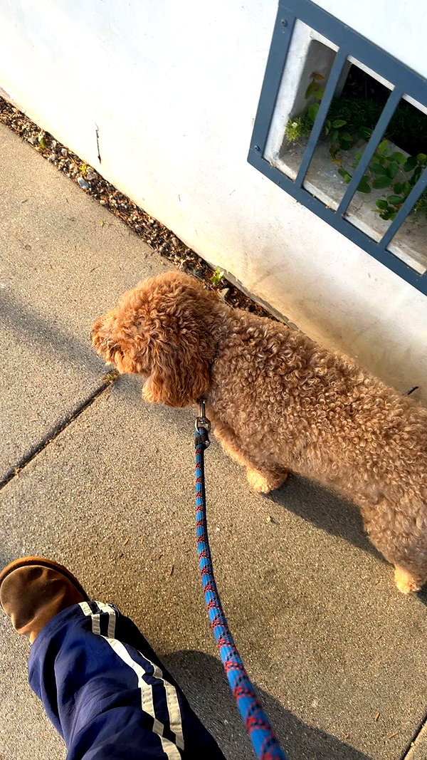 cclaire.bbear1 snapchat image archive image